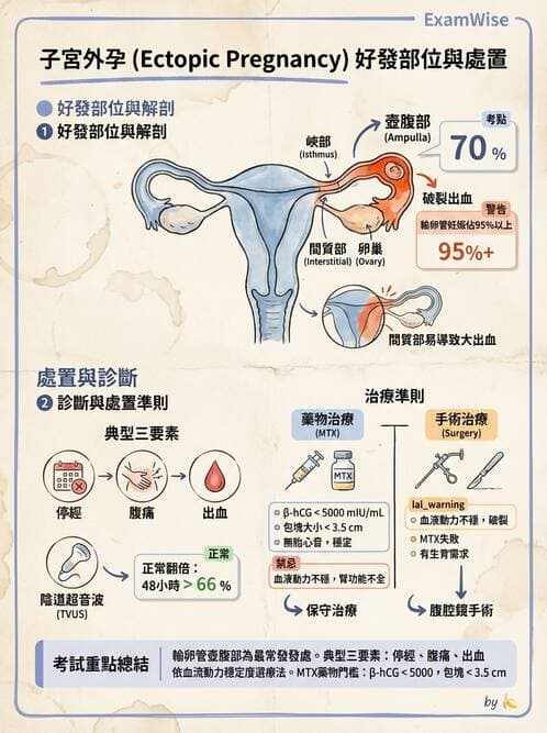 護理師 - 高危險妊娠 - AI 圖文解析預覽