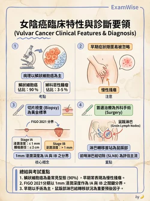 護理師 - 婦科腫瘤與感染 - AI 圖文解析預覽