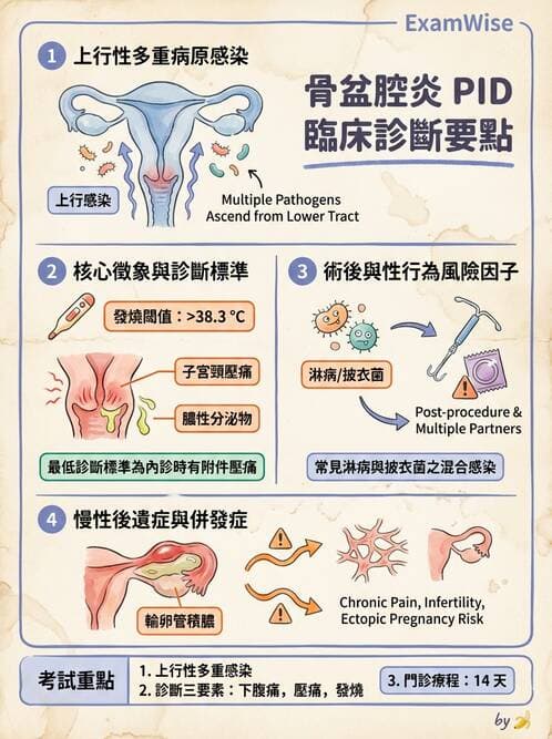 護理師 - 婦科腫瘤與感染 - AI 圖文解析預覽