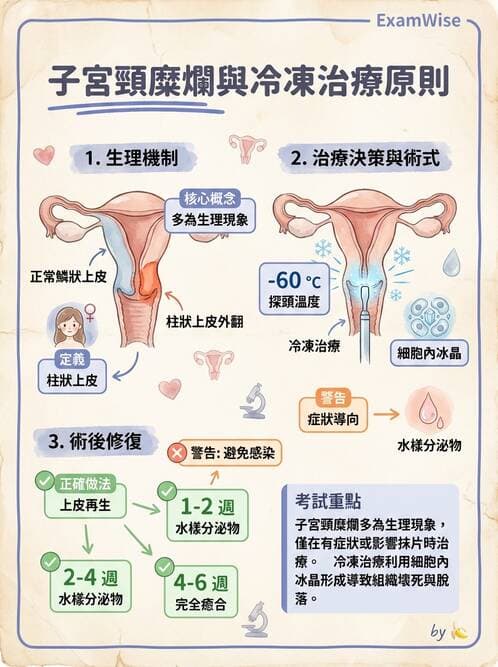護理師 - 婦科腫瘤與感染 - AI 圖文解析預覽