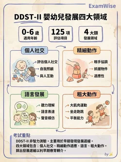 護理師 - 新生兒日常照護與篩檢 - AI 圖文解析預覽