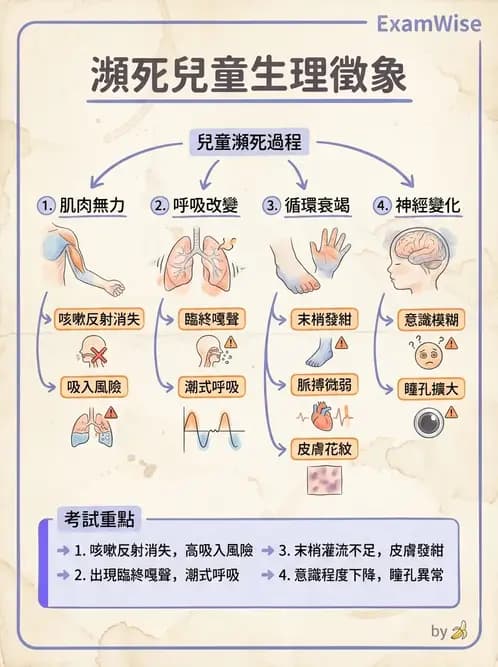 護理師 - 兒童呼吸系統疾病 - AI 圖文解析預覽