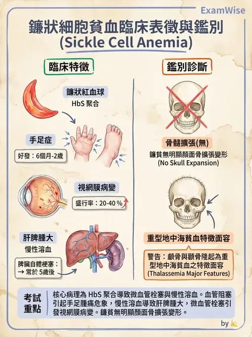 護理師 - 兒童血液與腫瘤疾病 - AI 圖文解析預覽
