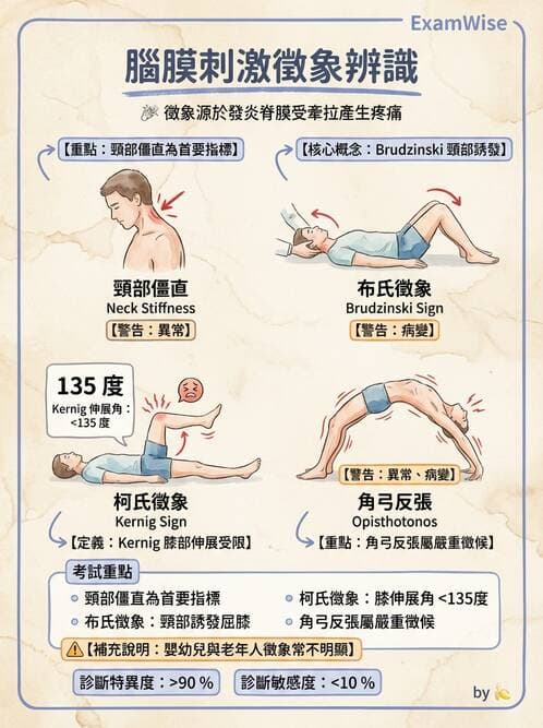護理師 - 兒童神經肌肉骨骼疾病 - AI 圖文解析預覽