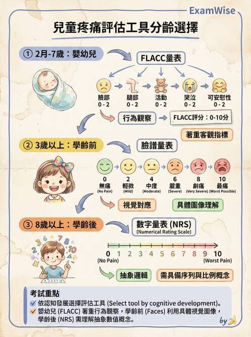 護理師 - 兒童血液與腫瘤疾病 - AI 圖文解析預覽