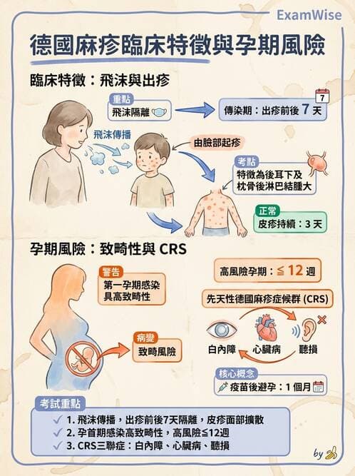 護理師 - 兒童傳染性疾病 - AI 圖文解析預覽