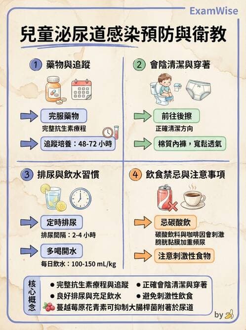 護理師 - 兒童泌尿系統疾病 - AI 圖文解析預覽