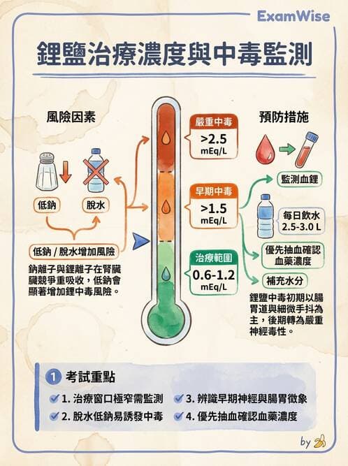 護理師 - 雙相情緒障礙護理 - AI 圖文解析預覽