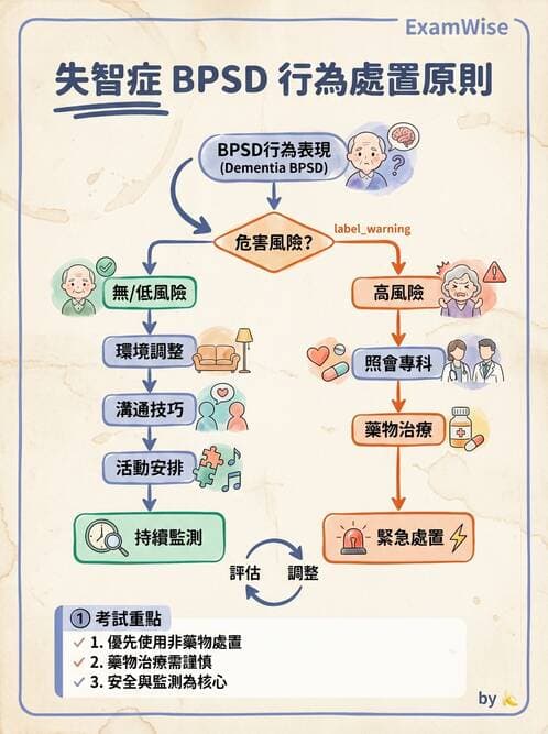 護理師 - 老年精神疾患 - AI 圖文解析預覽