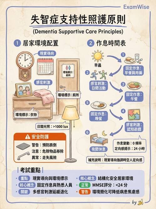 護理師 - 老年精神疾患 - AI 圖文解析預覽