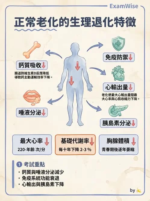護理師 - 慢性病防治 - AI 圖文解析預覽