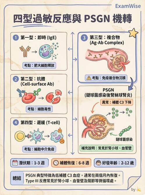 護理師 - 免疫疾病 - AI 圖文解析預覽