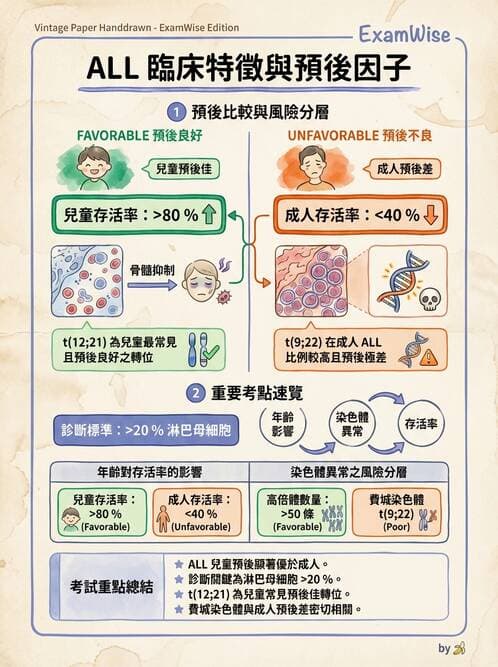護理師 - 造血及淋巴系統 - AI 圖文解析預覽