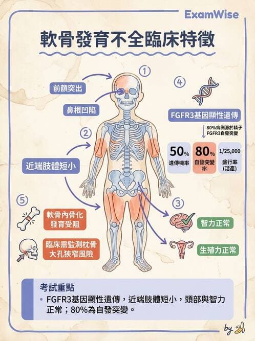 護理師 - 腫瘤及遺傳疾病 - AI 圖文解析預覽