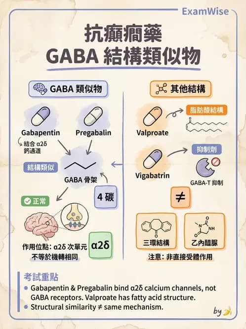 護理師 - 鎮痛、麻醉與神經科藥物 - AI 圖文解析預覽