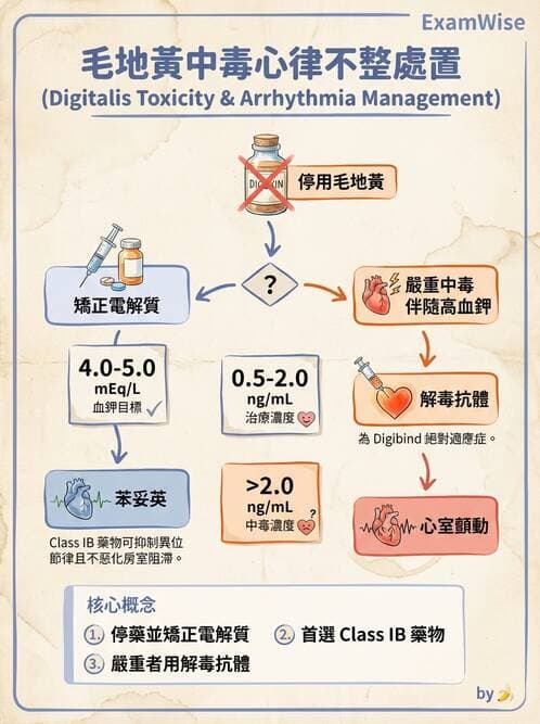 護理師 - 心臟藥物與抗血栓劑 - AI 圖文解析預覽