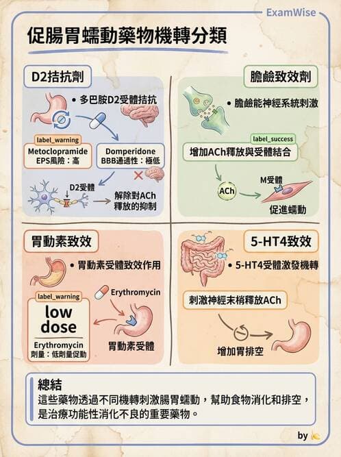 護理師 - 呼吸道及胃腸道作用藥物 - AI 圖文解析預覽