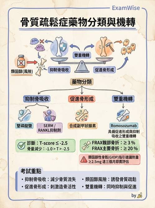 護理師 - 影響新陳代謝及內分泌功能藥物 - AI 圖文解析預覽
