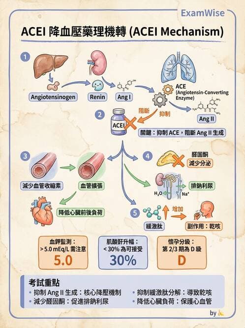 護理師 - 抗高血壓與血管藥物 - AI 圖文解析預覽