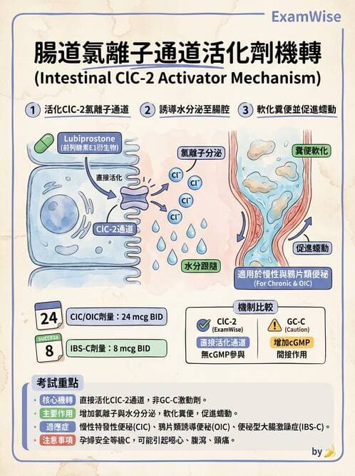 護理師 - 呼吸道及胃腸道作用藥物 - AI 圖文解析預覽