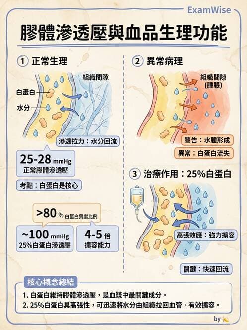 護理師 - 輸血與藥物計算 - AI 圖文解析預覽