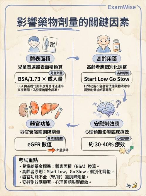 護理師 - 輸血與藥物計算 - AI 圖文解析預覽