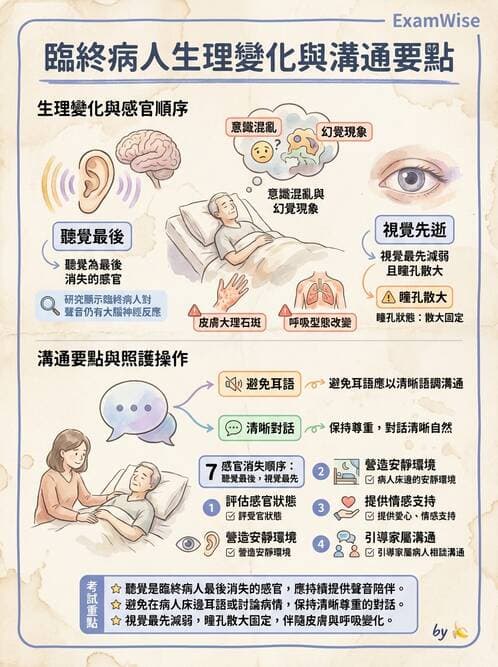 護理師 - 臨終與哀傷護理 - AI 圖文解析預覽