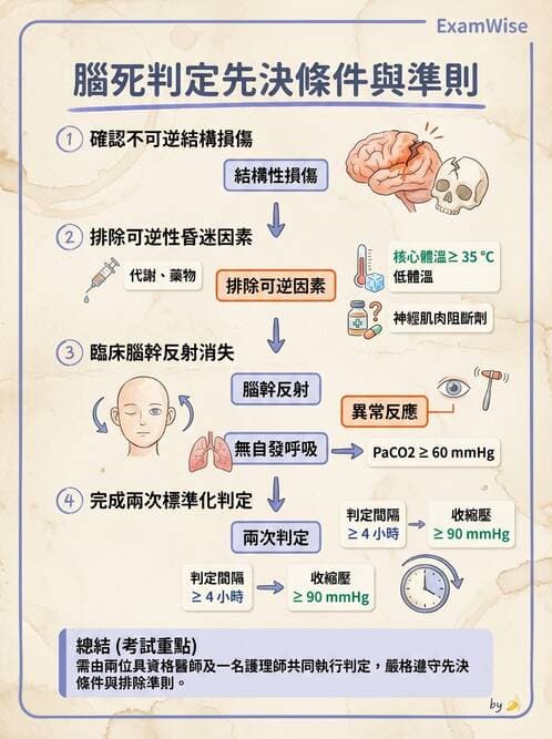 護理師 - 臨終與哀傷護理 - AI 圖文解析預覽