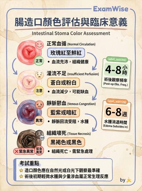 護理師 - 腸道疾病與手術護理 - AI 圖文解析預覽