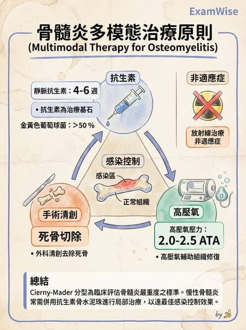 護理師 - 骨折與牽引護理 - AI 圖文解析預覽