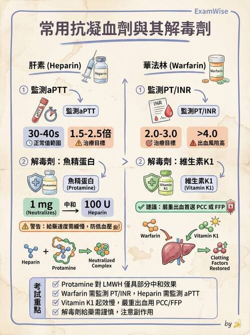 護理師 - 高血壓與周邊血管疾病 - AI 圖文解析預覽