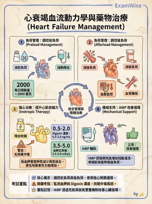 護理師 - 心臟衰竭與心律不整 - AI 圖文解析預覽