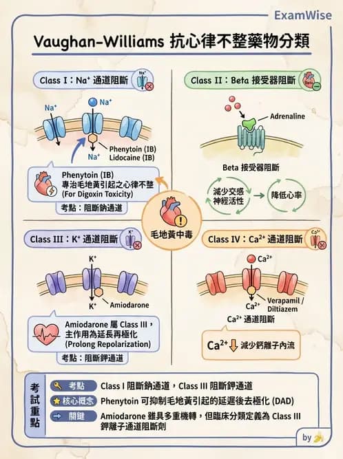護理師 - 心臟衰竭與心律不整 - AI 圖文解析預覽