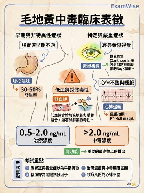 護理師 - 心臟衰竭與心律不整 - AI 圖文解析預覽