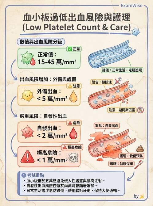 護理師 - 貧血與凝血疾病 - AI 圖文解析預覽