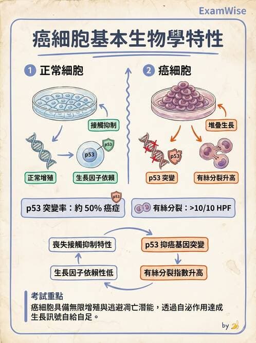護理師 - 腫瘤概論與診斷 - AI 圖文解析預覽