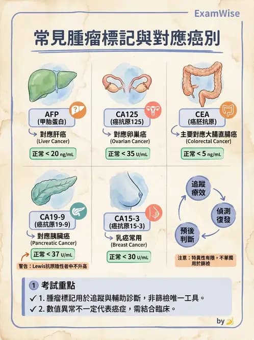 護理師 - 腫瘤概論與診斷 - AI 圖文解析預覽