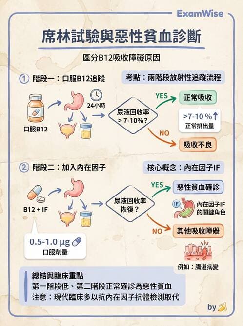 護理師 - 貧血與凝血疾病 - AI 圖文解析預覽