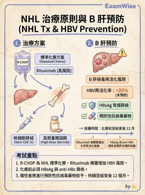 護理師 - 血液腫瘤疾病 - AI 圖文解析預覽
