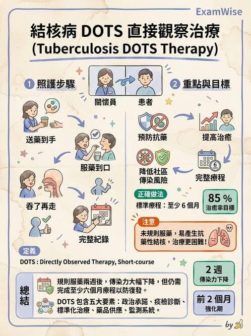 護理師 - 肺炎與呼吸道感染 - AI 圖文解析預覽