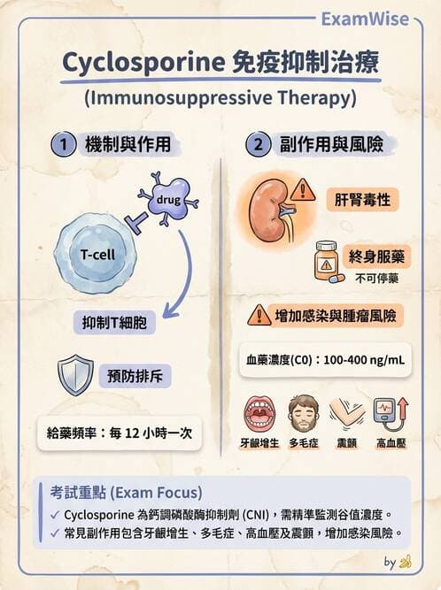 護理師 - 器官移植與AIDS - AI 圖文解析預覽