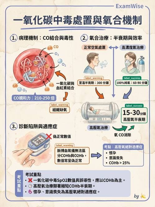 護理師 - 中毒與外傷護理 - AI 圖文解析預覽