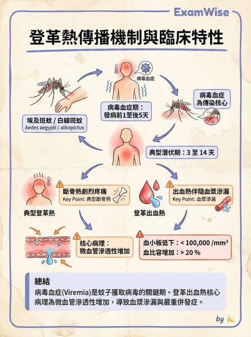 護理師 - 傳染病護理 - AI 圖文解析預覽