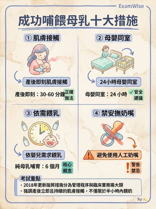 護理師 - 孕期營養心理與衛生政策 - AI 圖文解析預覽