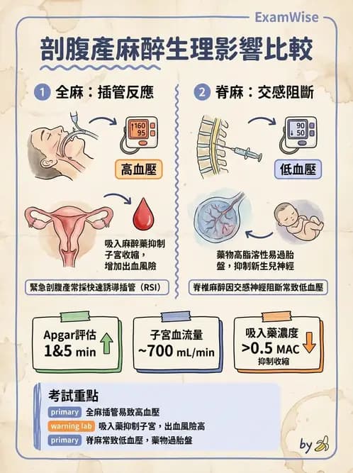 護理師 - 生產疼痛與麻醉技術 - AI 圖文解析預覽