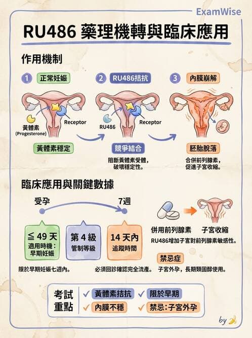 護理師 - 孕期生理變化與不適護理 - AI 圖文解析預覽
