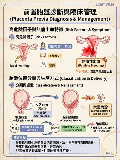 護理師 - 孕期生理變化與不適護理 - AI 圖文解析預覽