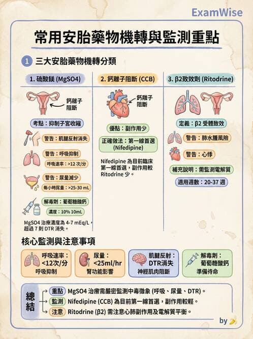 護理師 - 高危險妊娠 - AI 圖文解析預覽