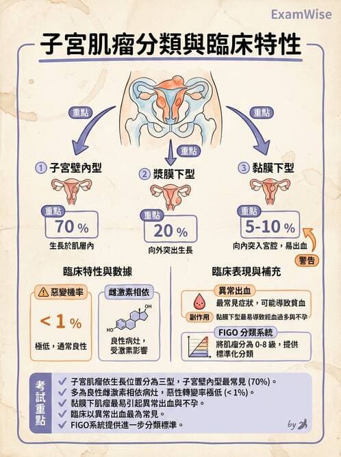 護理師 - 孕期生理變化與不適護理 - AI 圖文解析預覽