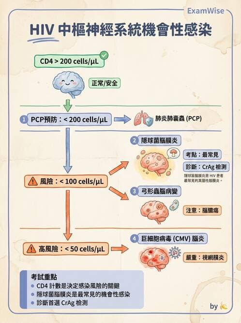 護理師 - 孕期生理變化與不適護理 - AI 圖文解析預覽
